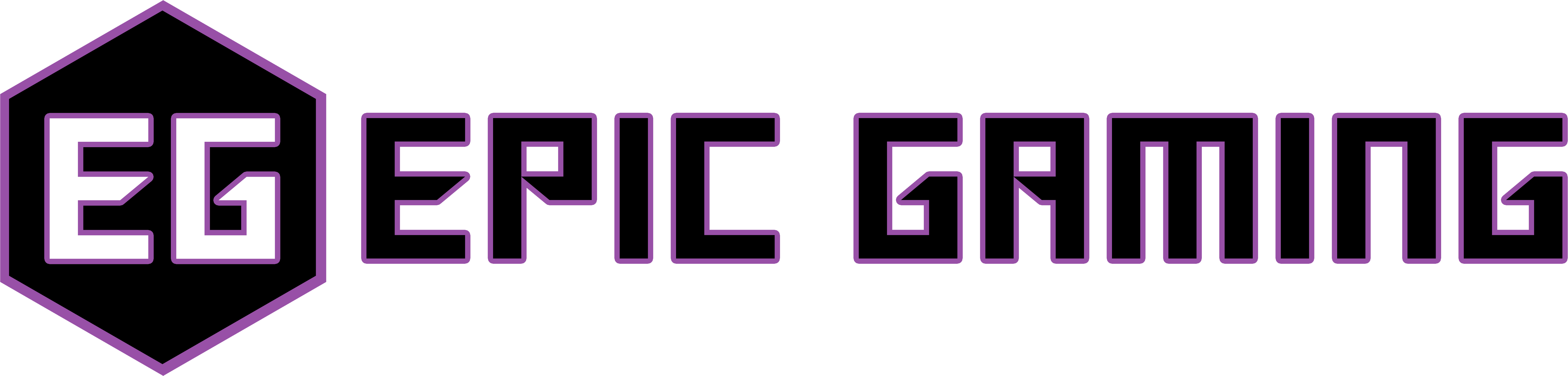 Epic Gaming LLC